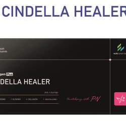 CINDERLLA HEALER